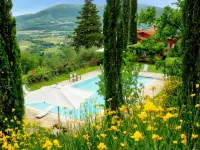Paradiso -  case vacanza in affitto