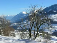 Auf der Mauer