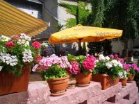 Gasthaus Forelle - Mountain view