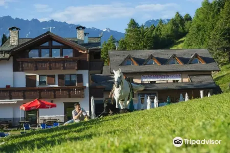 Hotel Gallo Cedrone Отели в г. Вальфурва