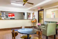Kings Inn Hotels in LaFayette
