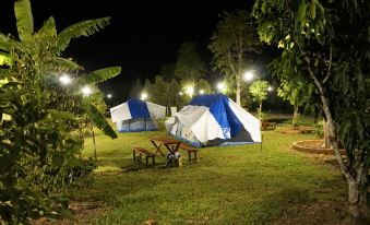 Orchard Luxury Tent