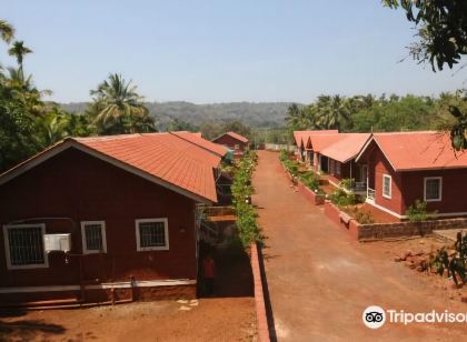 Virgin Winds Resorts