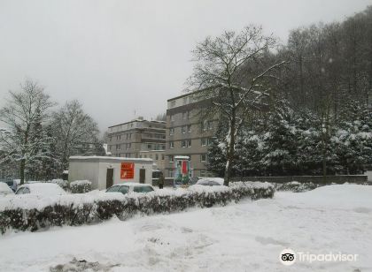 Harz Hotel & Spa Seela