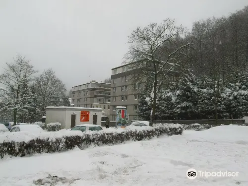 Harz Hotel & Spa Seela