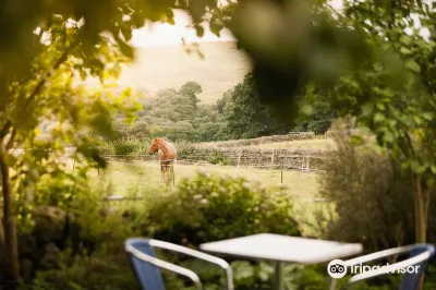 Hollybush Inn Hotels in Tarset