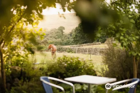 Hollybush Inn Отели в г. Беллингхем