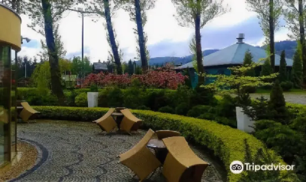 Hotel Sahara Отели в г. 