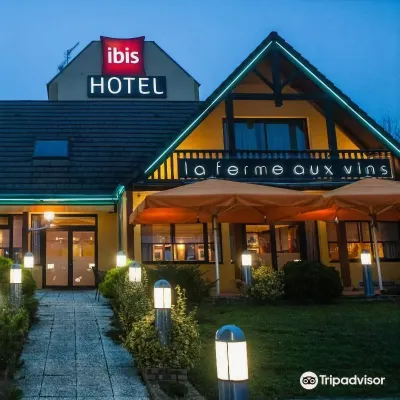 Ibis Beaune la Ferme Aux Vins - Kolam Renang