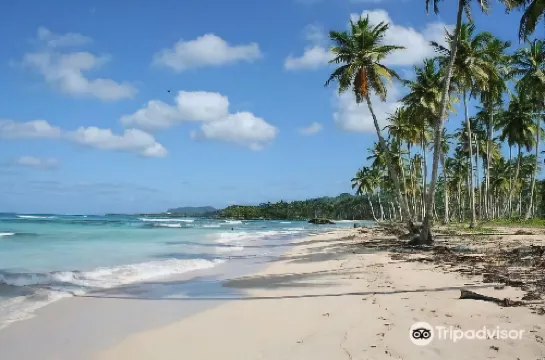 Chalet Tropical Hotel & Restaurant-Pizzeria Hôtels à : Las Galeras