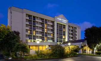 a four points hotel building with its name lit up at night , surrounded by trees at Four Points by Sheraton - San Francisco Bay Bridge