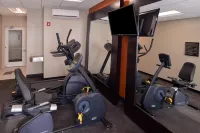 Holiday Inn Express & Suites EFFINGHAM by IHG - Kuntosalit