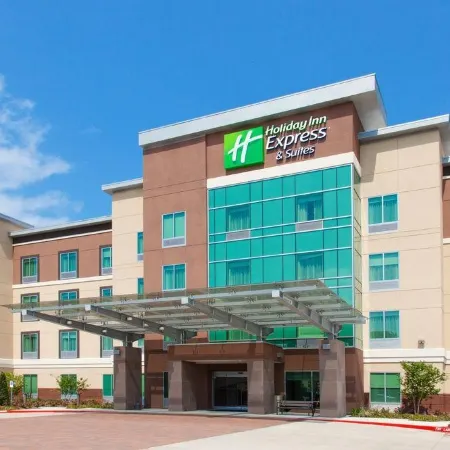 Holiday Inn Express & Suites HOUSTON S - MEDICAL CTR AREA by IHG Отели рядом с достопримечательностью «Остановка скоростного трамвая Museum District»