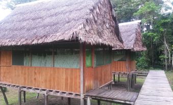 Amazon Eco Tours & Lodge