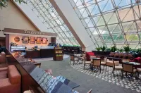 Hilton Bellevue Hotels in Bellevue