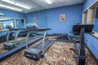 Comfort Inn & Suites Lees Summit - Kansas City - Gym