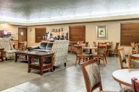 Comfort Inn & Suites Mitchell I-90