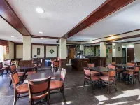 Quality Suites Addison-Dallas Hotels in Addison