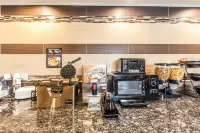 Econo Lodge Hotels in Lenoir City