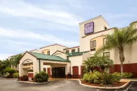 Sleep Inn Sarasota North Hotels in Sarasota