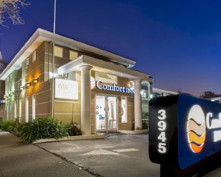 Comfort Inn Palo Alto Hotels in Palo Alto