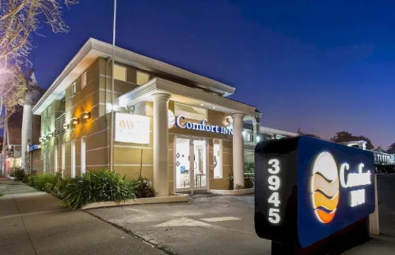 舒適酒店-帕洛阿爾託