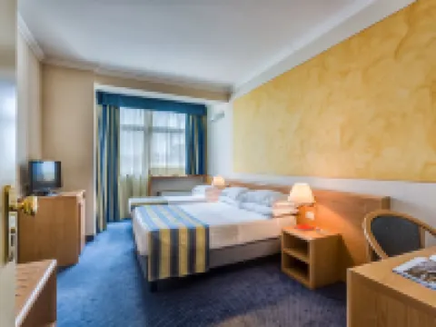 Hotel Continental Brescia Hotel a Roncadelle