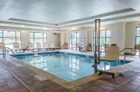 Comfort Suites Lewisburg Hotels in East Buffalo Township