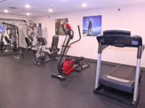 アクセント インズ バーナビー バーナビーのホテル