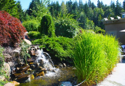 힐톱 인 새먼 암