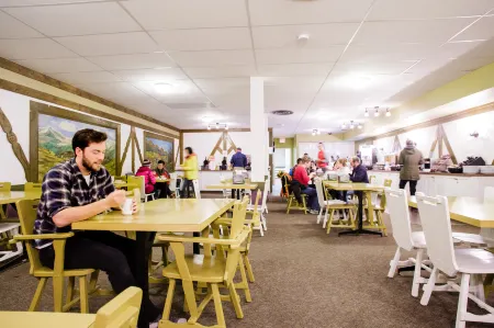 Mountaineer Lodge Отели в г. Improvement District No. 9