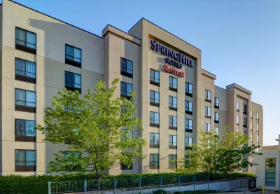 SpringHill Suites St. Louis Brentwood Hotels in Brentwood