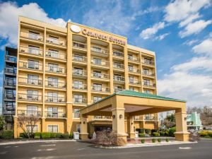 Vista Suites Pigeon Forge, SureStay Collection by BW