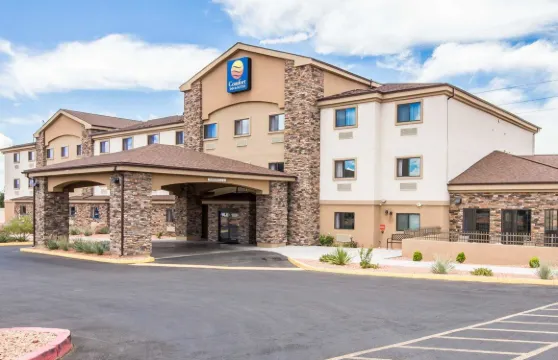 佩奇鮑威爾湖舒適套房酒店