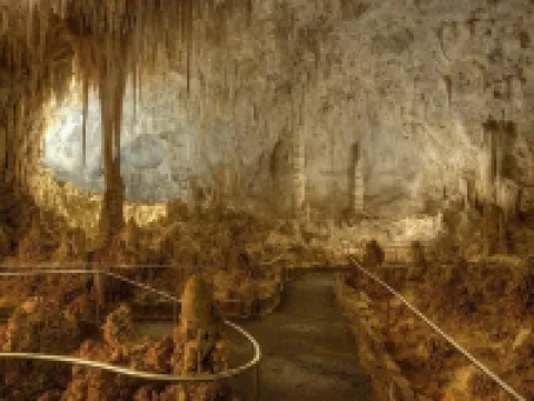 Rodeway Inn Carlsbad Caverns Area Hotels in Eddy County