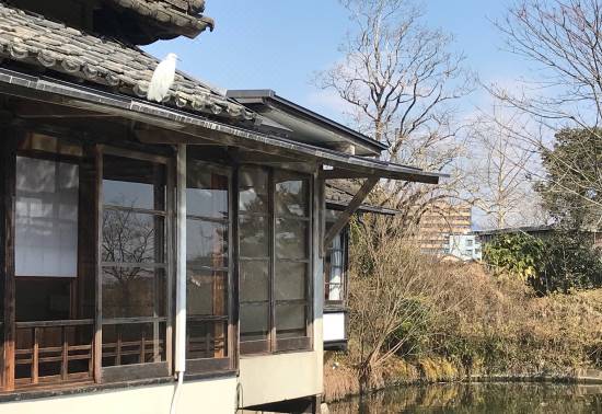人吉温泉 しらさぎ荘 人吉 を宿泊予約 22年安い料金プラン 口コミ 部屋写真 Trip Com