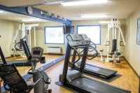 Comfort Inn Hastings Hotels in Hastings