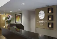 Comfort Inn Hotels in Sept-Îles