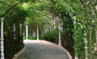 a lush green garden path with trees and vines , leading to a building in the distance at Park