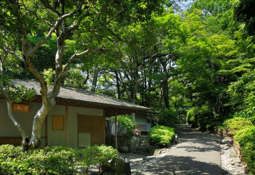 4. 그랜드 프린스 ..