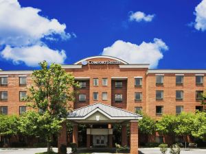 Comfort Suites Regency Park