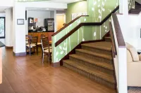 Sleep Inn Hotels in Hartwood