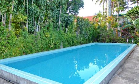 The Friendly Islander - Housity