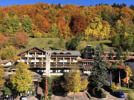 Aktiv & Spa Hotel Alpenrose Отели в г. Гемайнде Тшаггунс