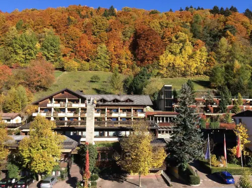 Aktiv & Spa Hotel Alpenrose Hotel a Dalaas