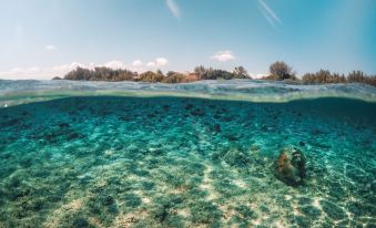 Gili Treehouse