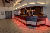 Hôtel Arles Plaza - bar