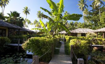 Beqa Lagoon Resort