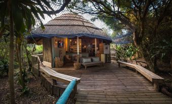 a small wooden house surrounded by trees , with a deck in front of it , creating a cozy and inviting atmosphere at Thonga Beach Lodge