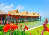 Bintan Agro Beach Resort & Spa Hotel dekat Pantai Trikora 4